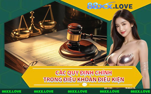 Các Quy Định Chính Trong Điều Khoản Điều Kiện 