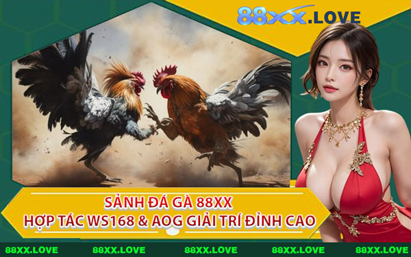 Sảnh Đá Gà 88XX Hợp Tác WS168 & AOG Giải Trí Đỉnh Cao