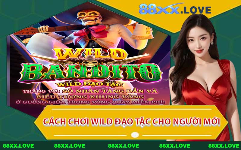 Cách Chơi Wild Đạo Tặc Cho Người Mới