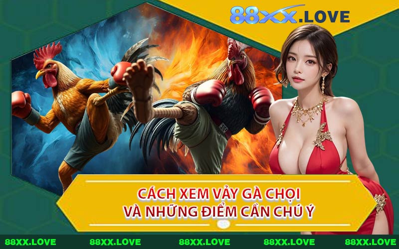 Cách Xem Vảy Gà Chọi Và Những Điểm Cần Chú Ý