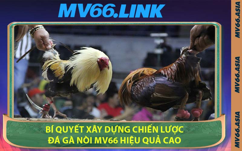Bí quyết xây dựng chiến lược đá gà nòi MV66 hiệu quả cao