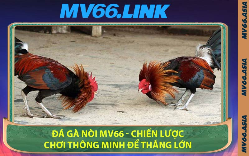 Đá Gà Nòi MV66 - Chiến Lược Chơi Thông Minh Để Thắng Lớn